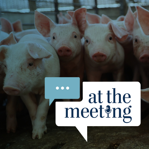 BI Swine At The Meeting